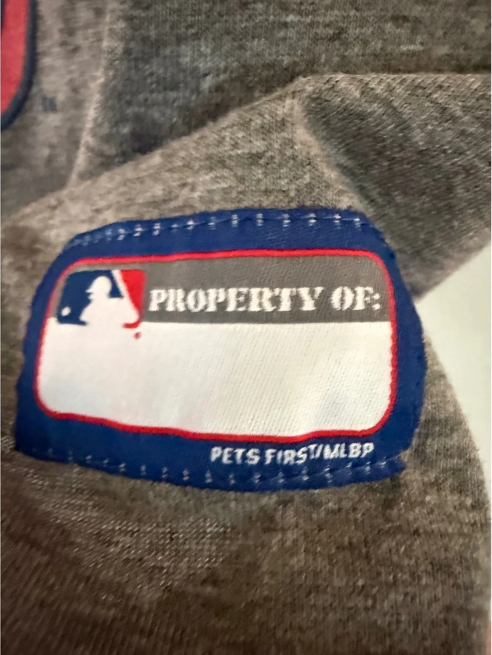 Washington Nationals Officially Licensed Pet Hoodie - Large